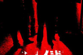 西盟为什么选择专业追讨公司来处理您的债务纠纷？